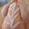 boucherie, charcuterie, traiteur, laurent récarté, gaillac